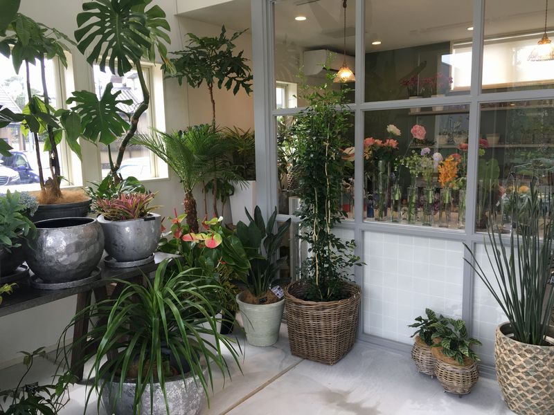 Blog アップルブログ 16年4月 アップルカンパニー 林檎舎