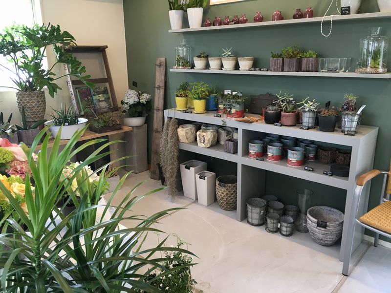 Blog アップルブログ 16年4月 アップルカンパニー 林檎舎