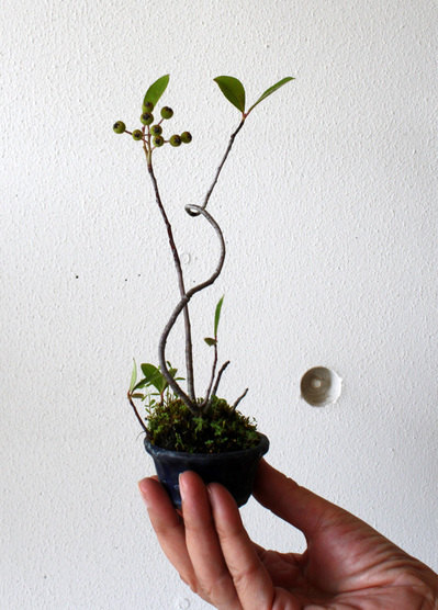 20190913-023 (2).jpg